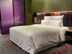 -南京禄口机场雅高铂尔曼大酒店