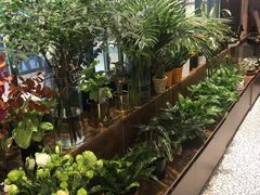 -BOBLOOM花店(宝龙旭辉广场店)