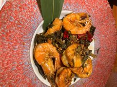 -菌自由丨野生菌火锅特色庭院餐厅(丽江古城店)