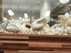 -菊上料理(蜀山银泰百货店)