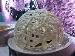 -百好乐宠物友好餐厅(朝外大街店)