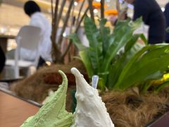 -野人先生Gelato(上海长宁龙之梦店)