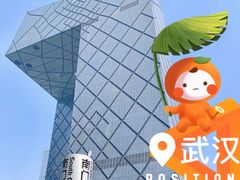 -中央广播电视总台(光华路办公区)