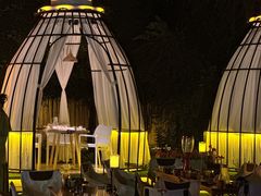 -维斯特·夜烤牛肋条任吃