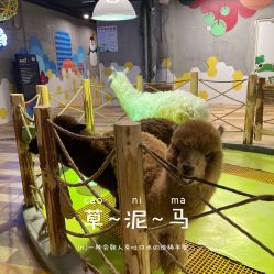 点击看大图 -七巧国萌宠乐园(龙湖天街店)