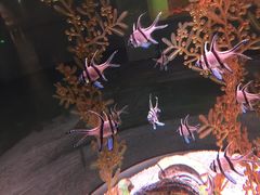 -常州海昌海洋探索馆