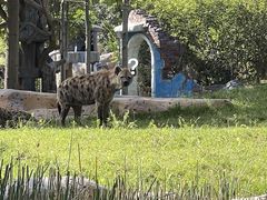 -北京野生动物园