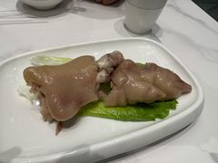 -丁老爷子苏香圆