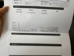 -米苏动物医院·犬猫专科·骨科外科内窥镜