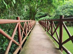 -广州市白云山风景名胜区