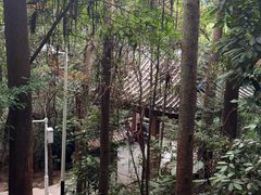 -水濂山森林公园