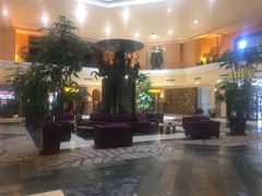-麒麟中餐厅·经典粤菜·地道菜式老字号(广州长隆酒店)
