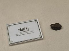 -辽宁古生物博物馆