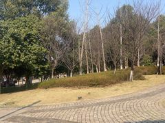 -洋湖国家湿地公园