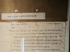 -桂湖森林公园