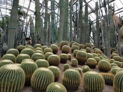 -南山植物园