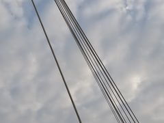 -映月湖中央公园
