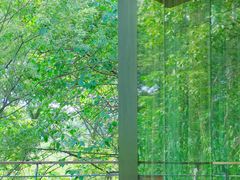 -西湖风景区-江洋畈生态公园