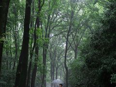 -紫霞湖公园