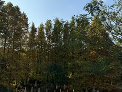 -八大山人梅湖景区