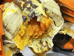 -黄记大闸蟹专卖店·活蟹·醉蟹