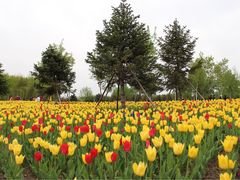 -长春公园(普阳街道)