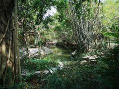 -大屏嶂森林公园