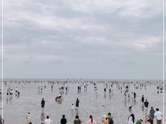 -奉贤海滩