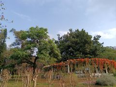 -广州雕塑公园