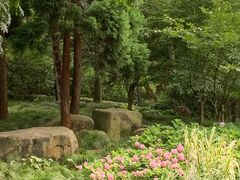 -徐家汇公园