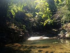 -广州白江湖森林公园