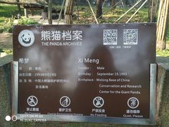 -都江堰中华大熊猫苑