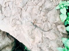 -舒家湾天主教堂