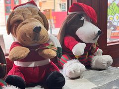 -地二手作鱼汤馄饨(上街里店)