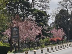 -璇景祥蔬菜水果店