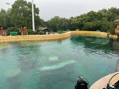 -上海玛雅海滩水公园