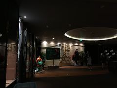 -万达影城(汉街万达广场IMAX店)