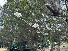 -福建鲤鱼洲酒店