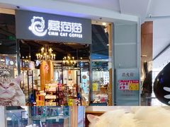 -藏猫猫咖啡主题馆(中央大道店)