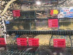 -大胡子海鲜·天津菜·砂锅烧烤(五大道创始店)