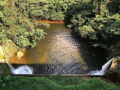 -鼎湖山风景区