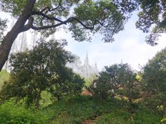-上海醉白池公园