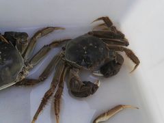 -乡乐园蟹庄·阳澄湖农家乐