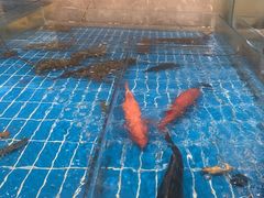 -新丁香海鲜酒店(银海商贸城店)