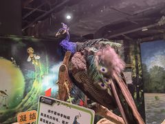 -正佳雨林生态植物园