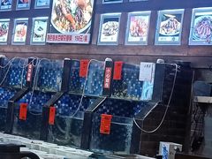 -俏东方·海味水饺·青岛菜(崂山店)