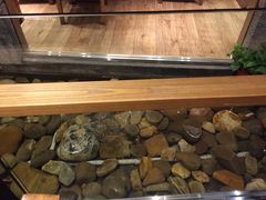 -小城粥道·海胆鲜虾粥(解放广场店)