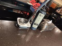 -锅说大脸毛肚重庆老火锅(佐阾店)