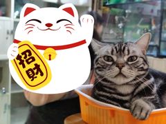 -藦茜花园宠物主题亲子互动体验馆(国顺东路店)