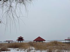 -青龙湖公园